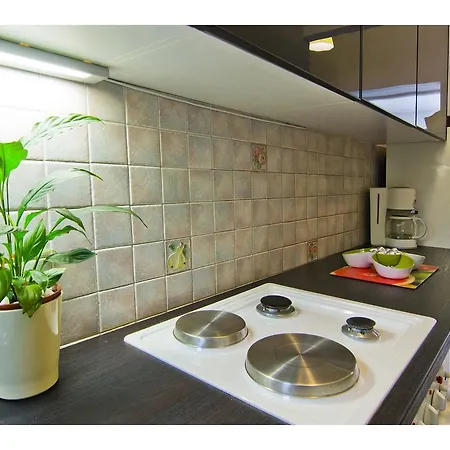 Lemon Tree 斯普利特