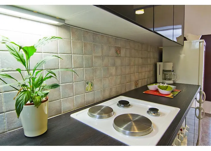 Lemon Tree Сплит